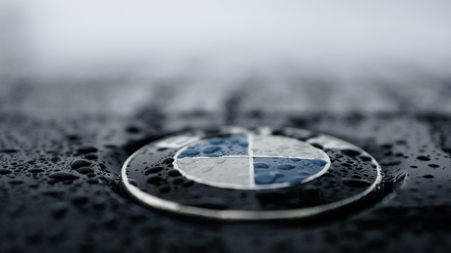 shallow focus photo BMW logo